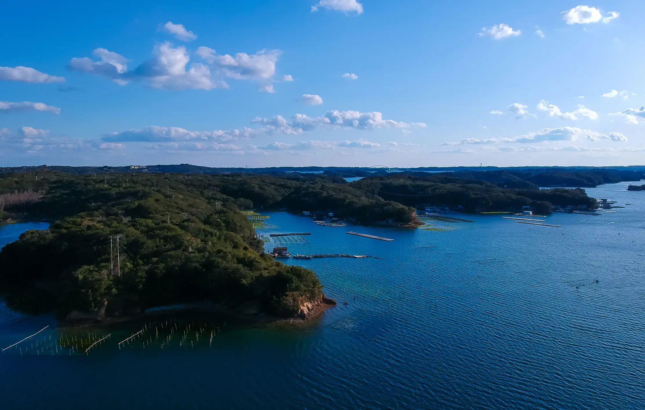 From the Bountiful Seas of Mie to the Elegance of Kyoto