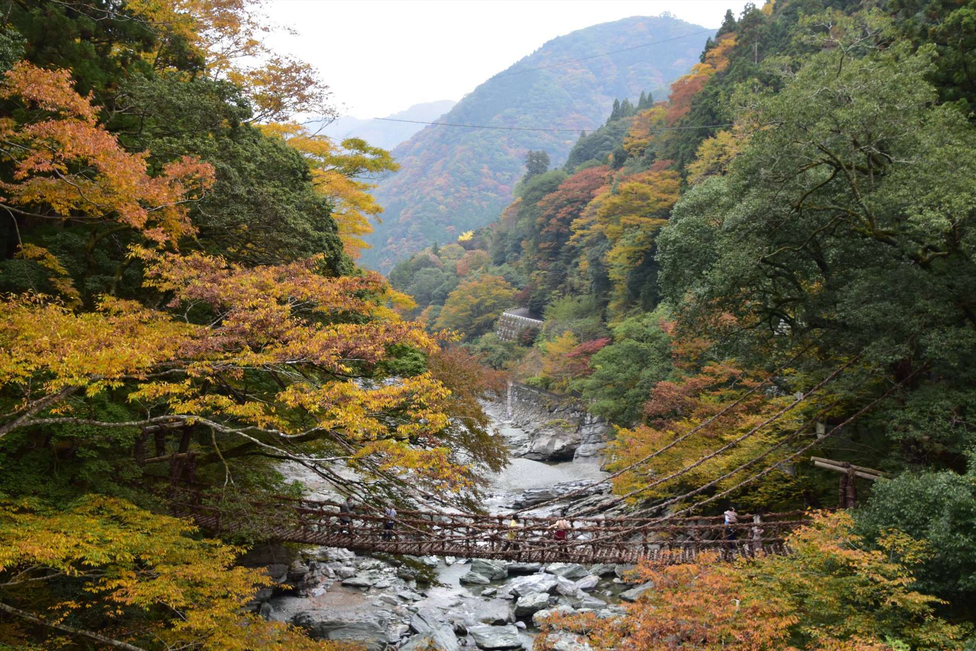 切り立った断崖の下を流れる渓流は、自然の美しさと涼し気な風を感じ